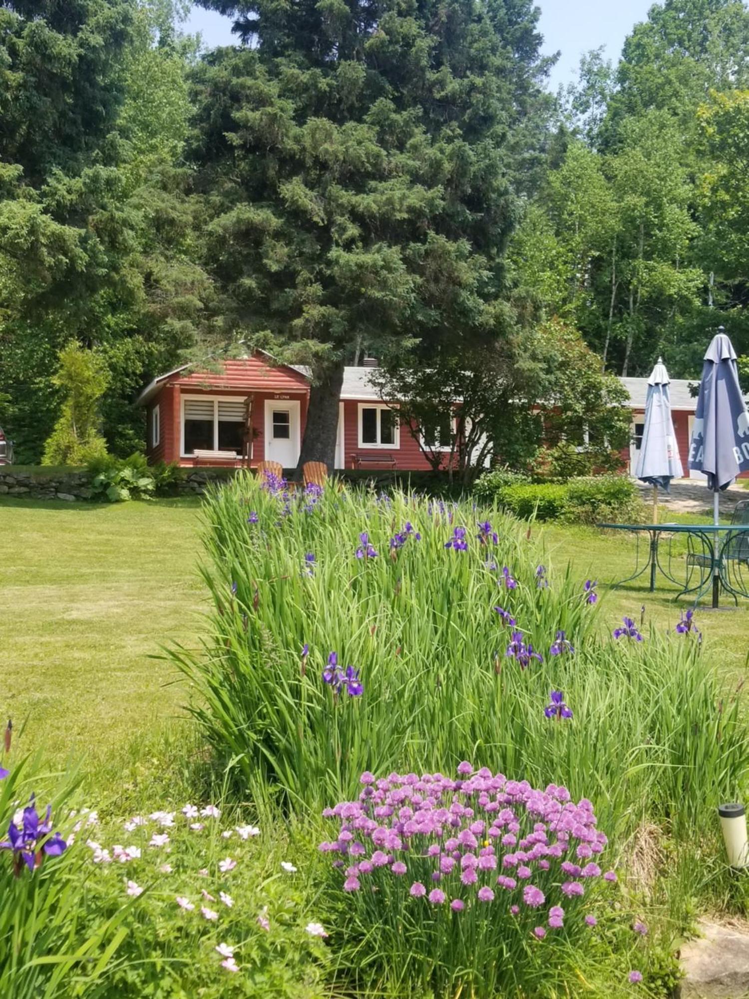 Kan-A-Mouche Pourvoirie Auberge Et Chalets Saint-Michel Стая снимка